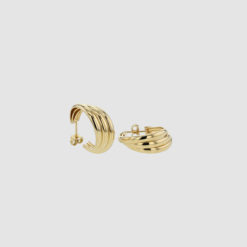 Scallop hoops in gold from the Venus collection from Hasla jewelry. Nprwegian design.